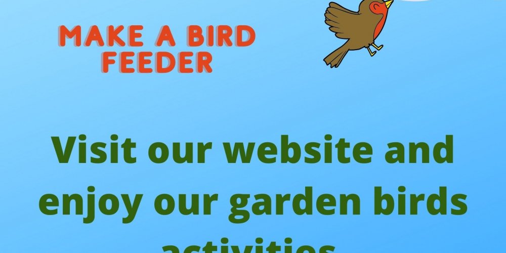 Make a Bird Feeder!