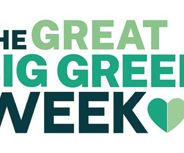 Children's Workshop for Great Big Green Week